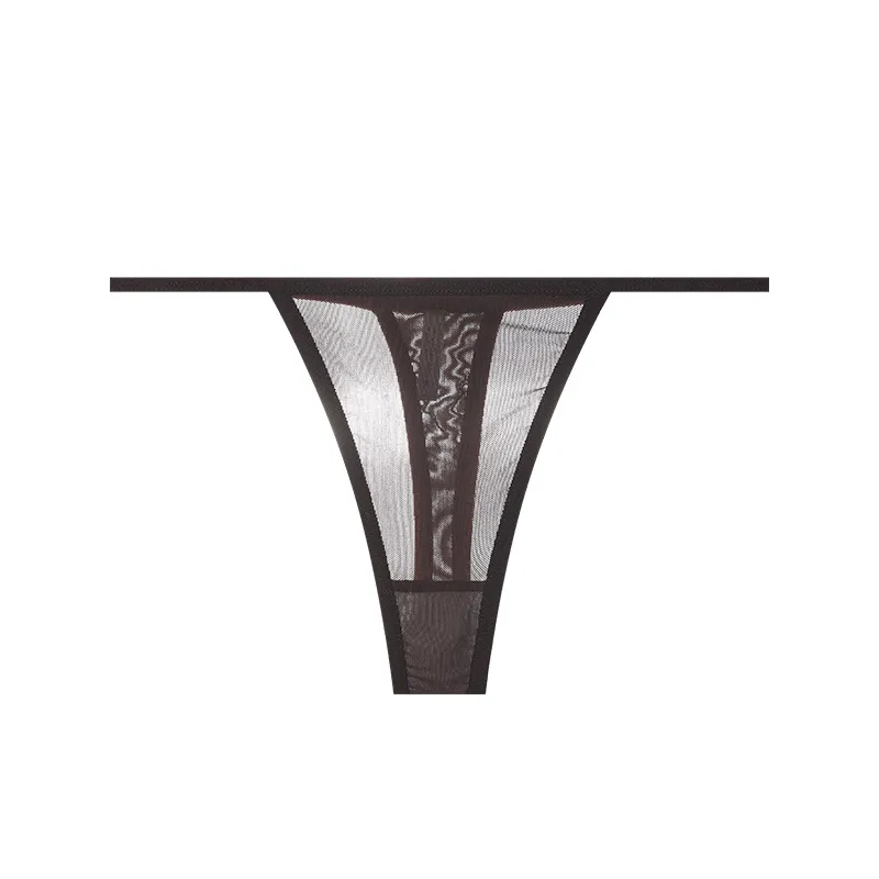 Sleek Mesh Thong for Women — Understated Sexy, Seamless, Low-Rise G-String Panties