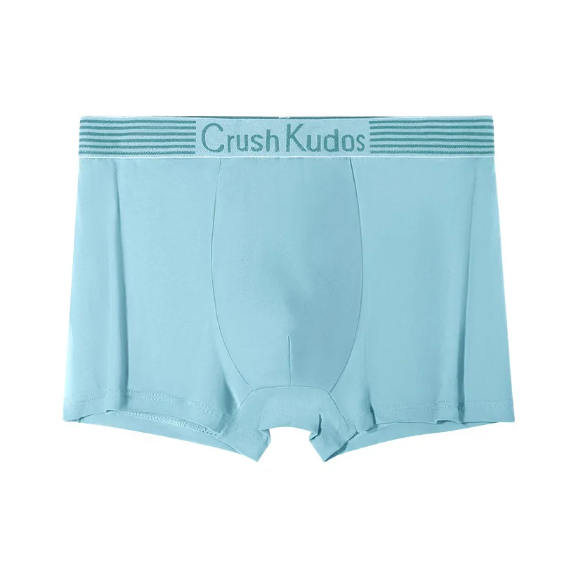 Men's Mid-Rise Boxer Briefs with Ventilated Mesh Gusset — Minimalist Style, Breathable & Comfortable Everyday Underwear