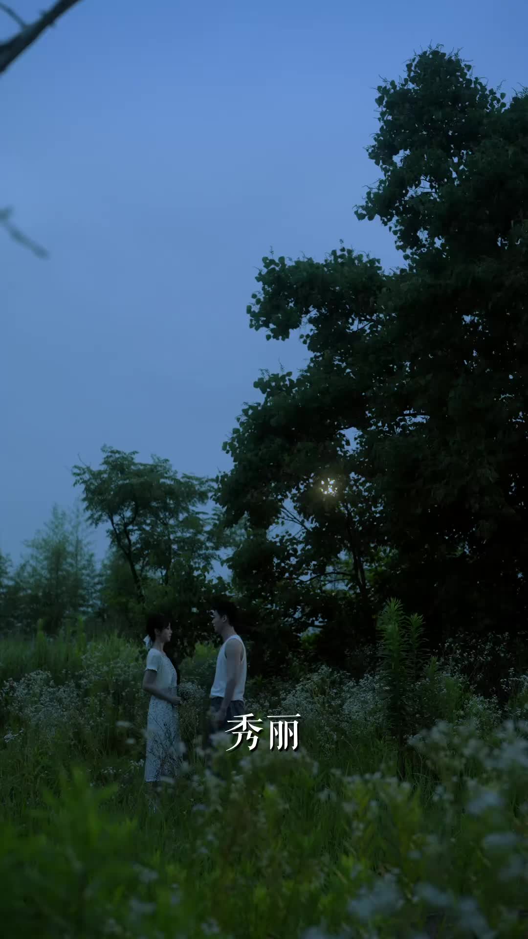 理想年代的爱情