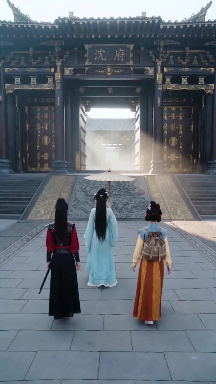 这个将军夫人有点强