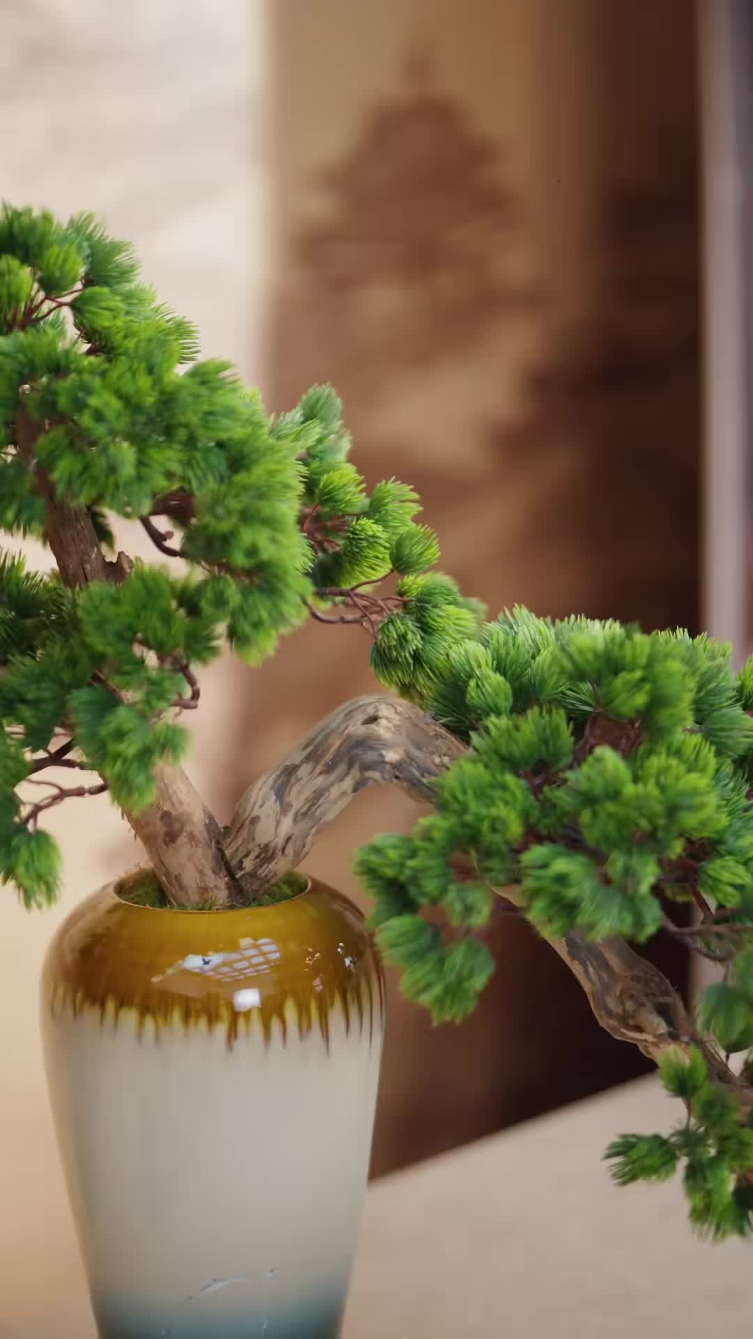 小小会所按摩师，专业鉴宝捡大漏