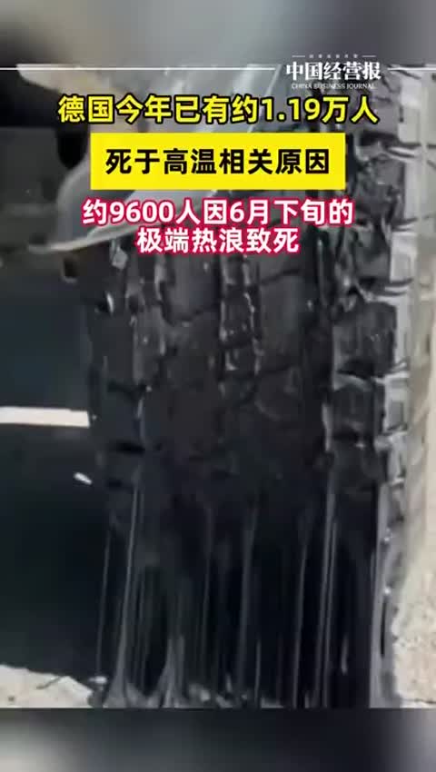 根據德國官方機構發佈的報告，德國今年已有約1.19萬人因高溫相關原因死亡。這一數字刷新了該國自2016年開始統計以來的最高紀錄