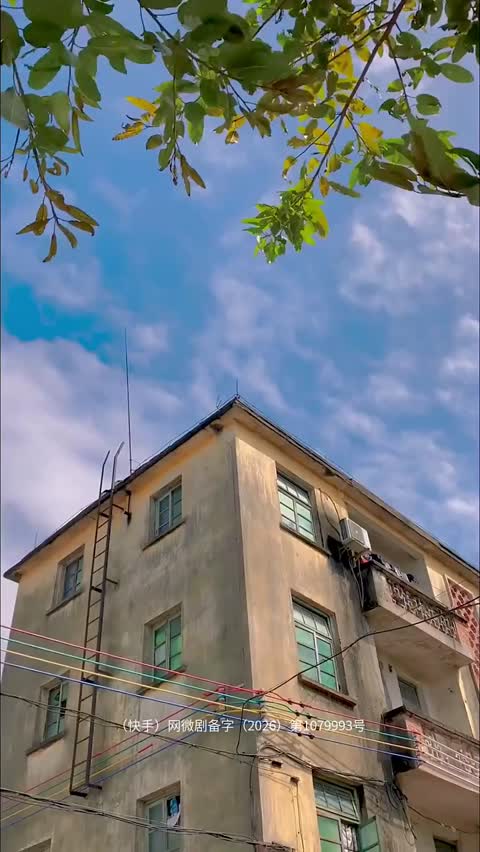 晚风拂我意 30000+短剧影视资源每日更新 加入群