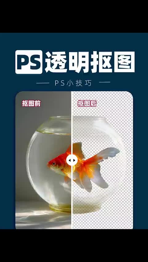 Adobe Photoshop入门视频教程 Adobe Photoshop 简称“PS”或“Ps”