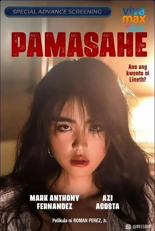 菲律宾电影【交通费】 《交通费》（Pamasahe）由Roman Perez Jr.执导 阿兹