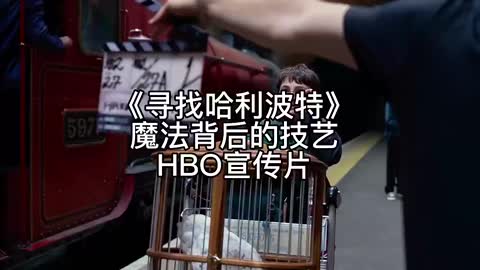《寻找哈利：魔法背后的匠心》高清资源 《寻找哈利：魔法背后的匠心》是由尼克 弗罗斯特